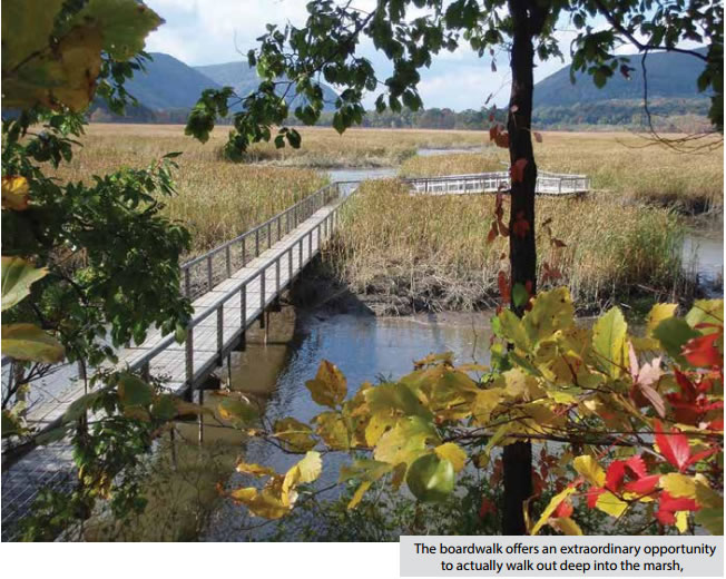 Constitution Marsh “By Land”