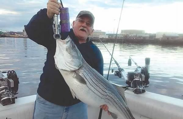 Slot Limits for Striped Bass