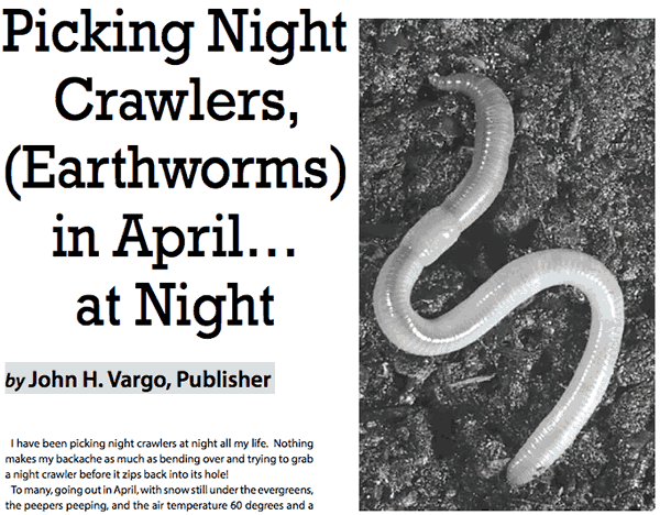 Picking Night Crawlers