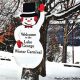 Enjoy The 2018 Lake George Winter Carnival