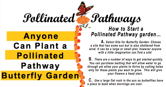 Plant a Pollinated Pathway
