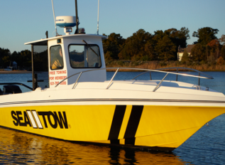 SEA TOW & C-PORT